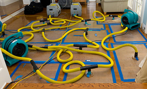 Professional Basement Flood Cleanup technician working in Darrington, WA